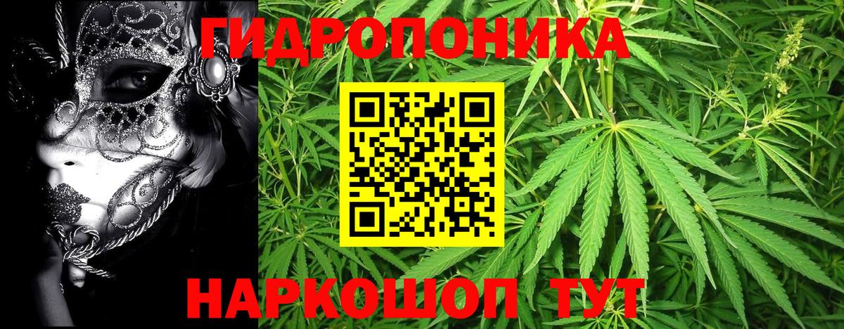 Конопля OG Kush  Каннабис тримм  Вход с VPN  Керчь 